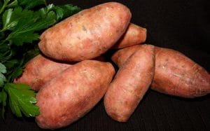 Comment cultiver la patate douce